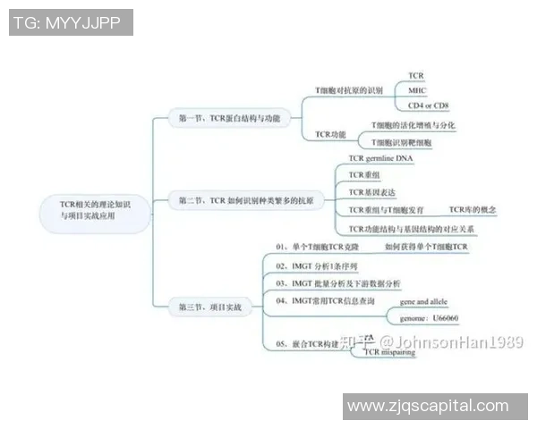 深入分析成都羽毛球队中路突破战术的独特魅力与实战应用